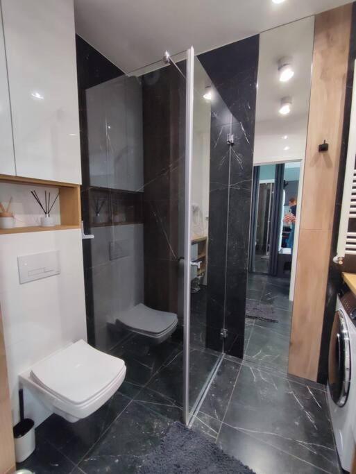 Green Apartment Вроцлав