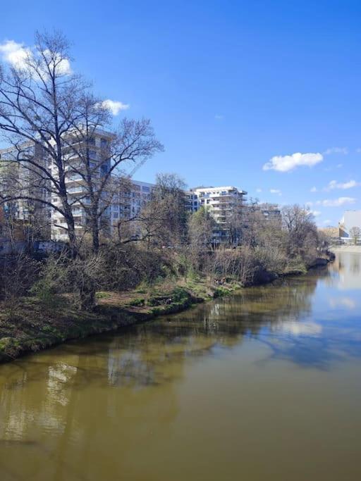 Green Apartment Apartment Wroclaw